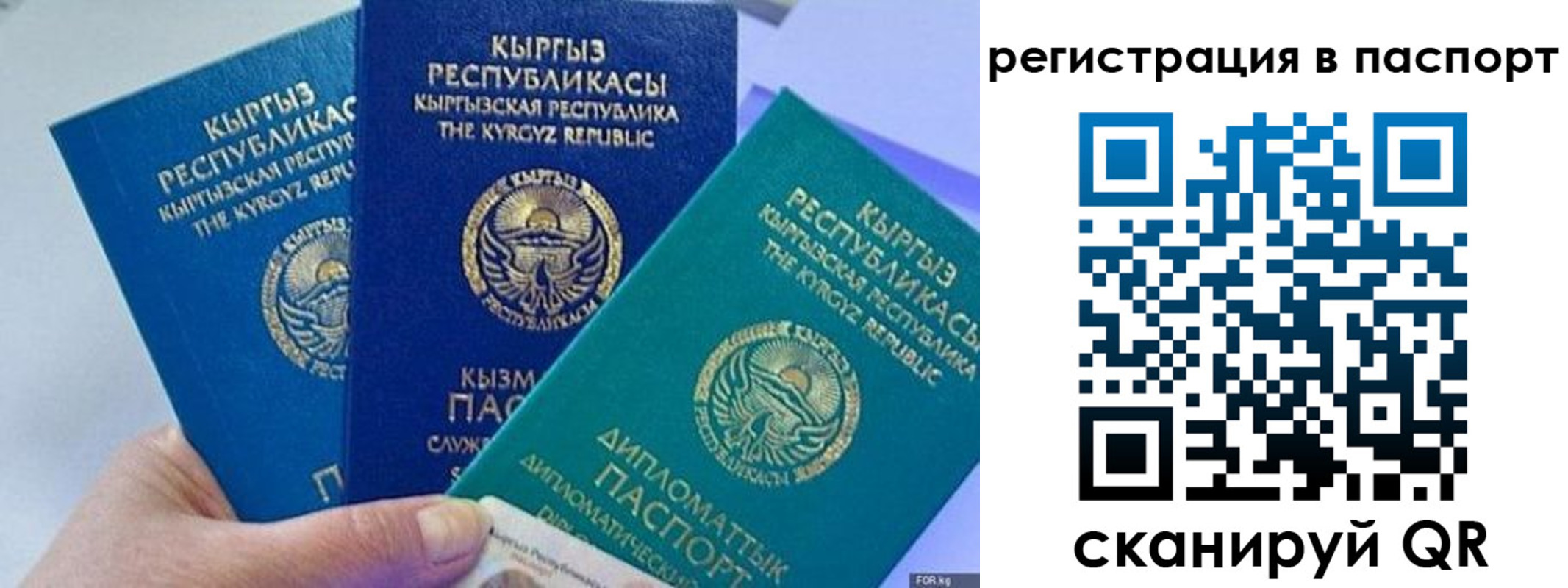 прописка 2025 в Ставропольском крае